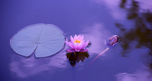 How is Meditation Beneficial for your Mind and Body?