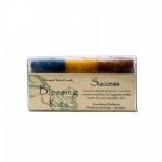 Blessings Kit: Success