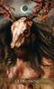 Divine Masculine : Healing Oracle