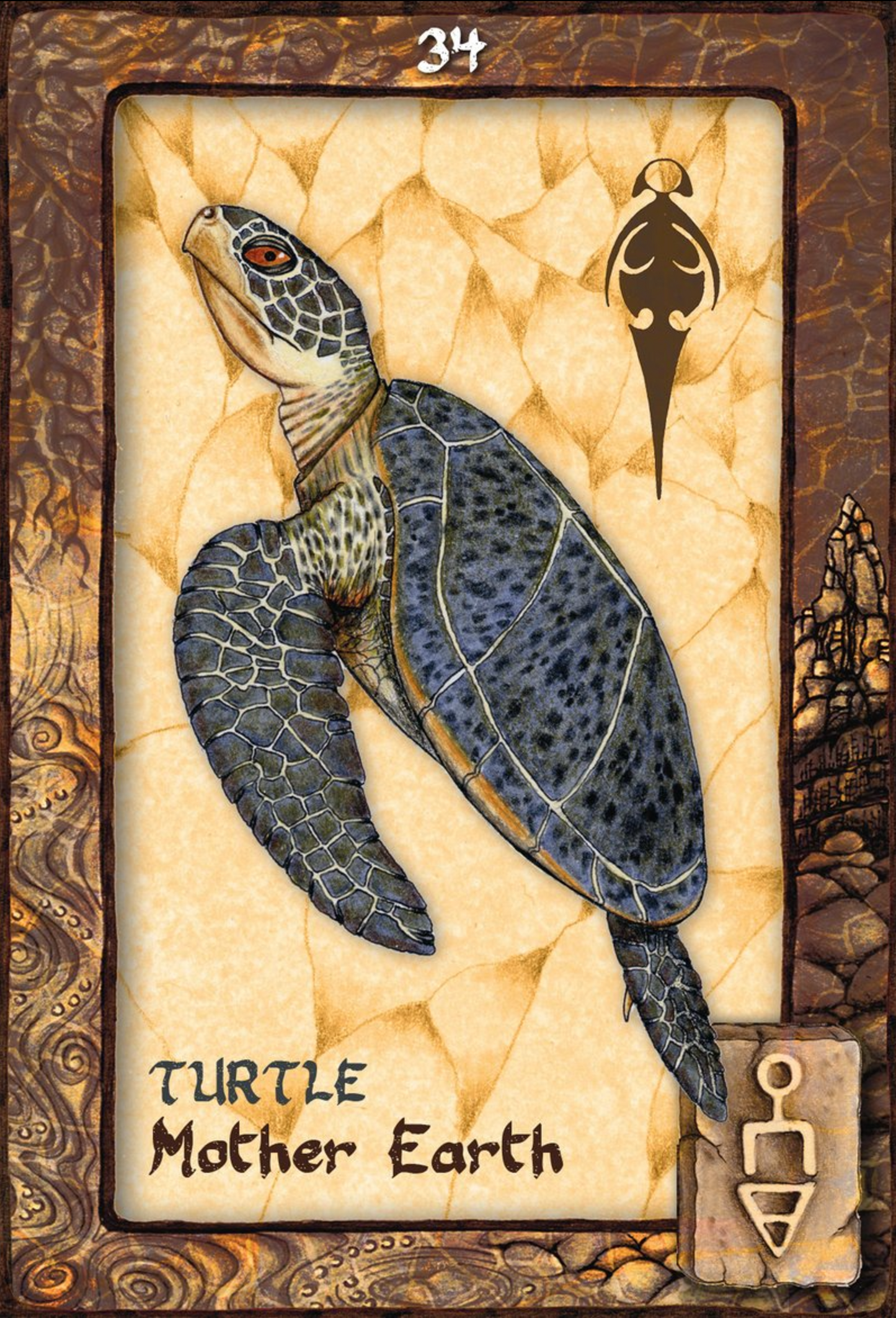 Animal Dreaming Oracle Cards