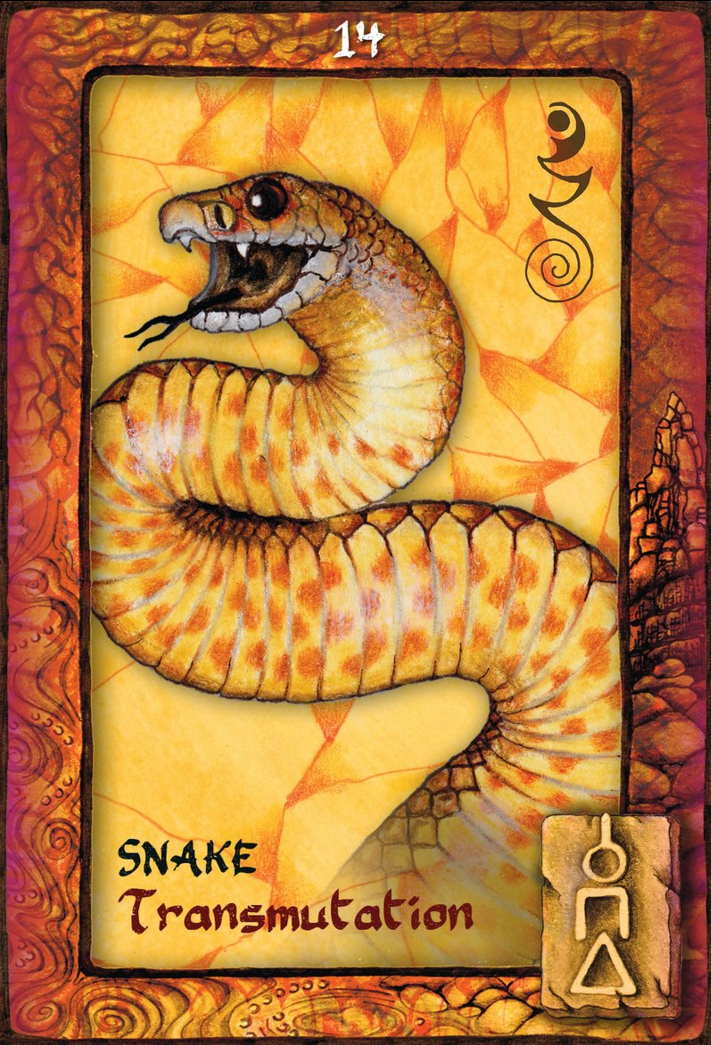 Animal Dreaming Oracle Cards
