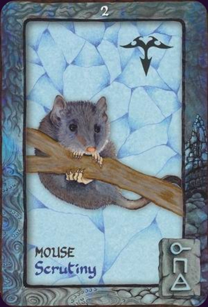 Animal Dreaming Oracle Cards