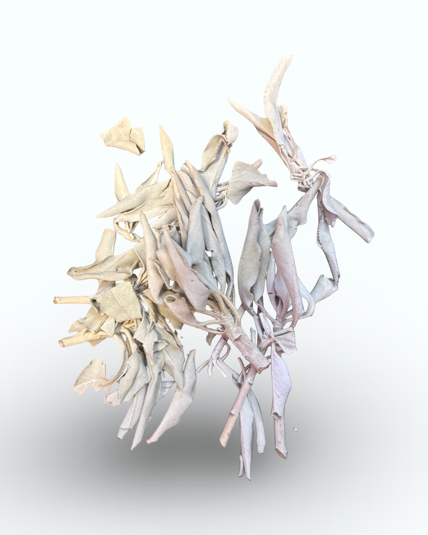 Sage - Loose leaf Californian white sage