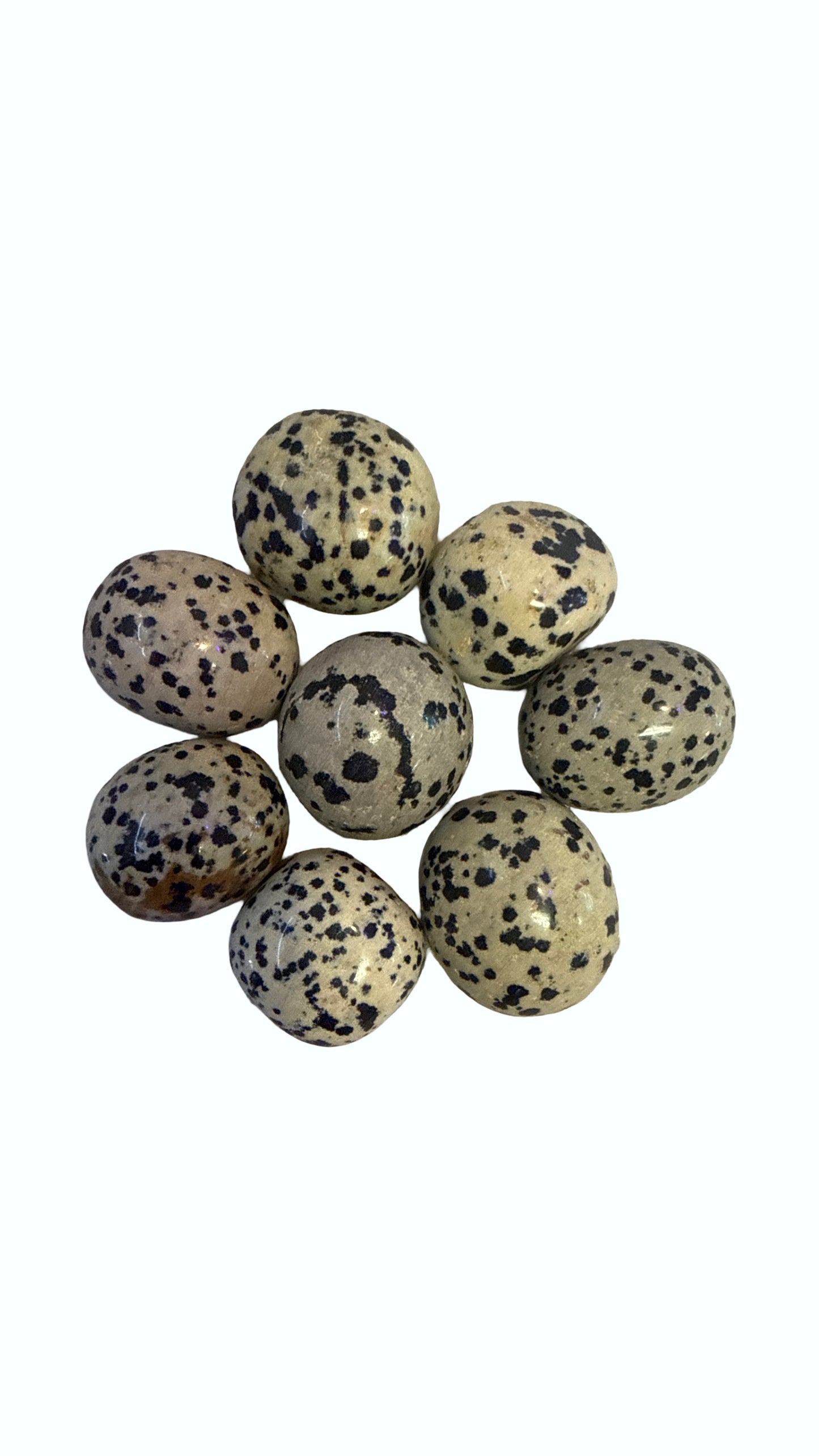Dalmation Jasper