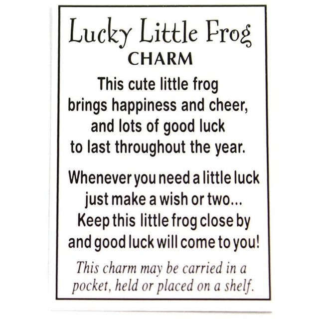 Lucky Little Frog Charm