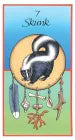 Medicine Cards Set