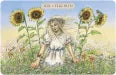 Rose Tarot