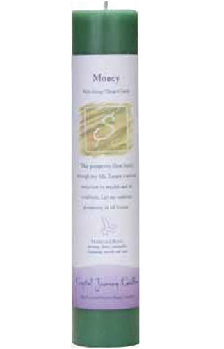 Money: Reiki Charged Soy Herbal Candle