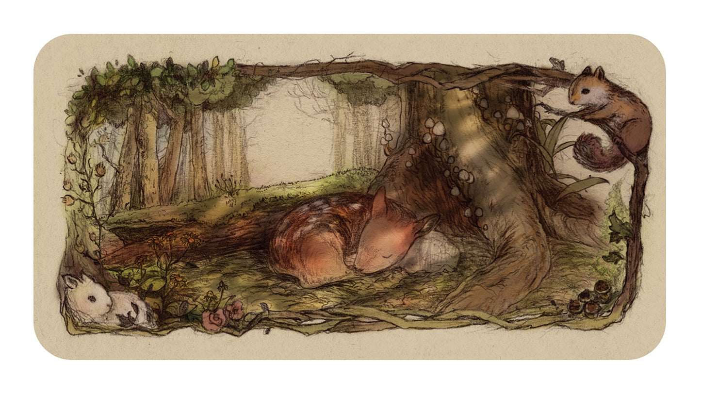 Whispering Woods Affirmation Cards