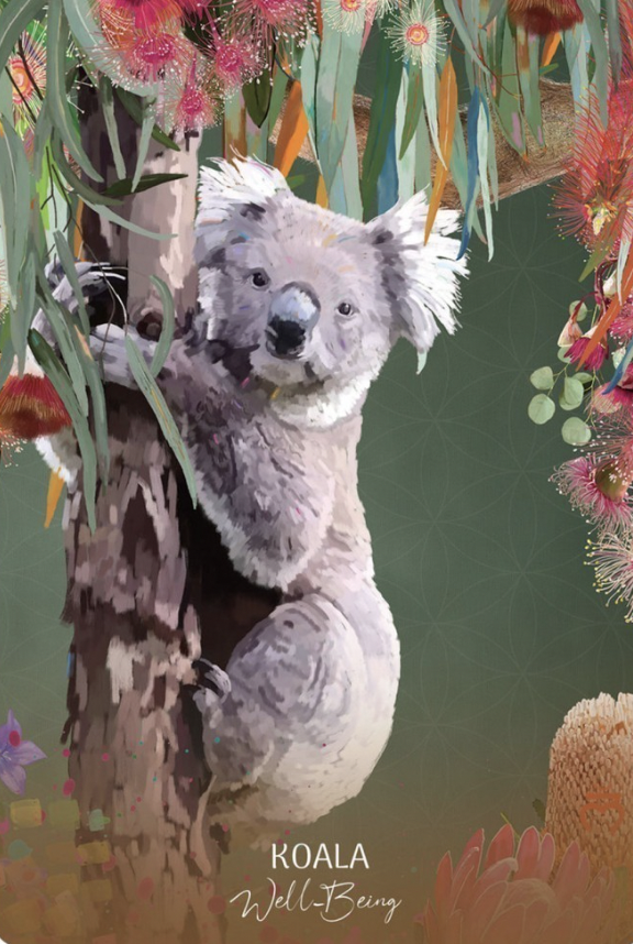 Wild Wisdom Australia Oracle
