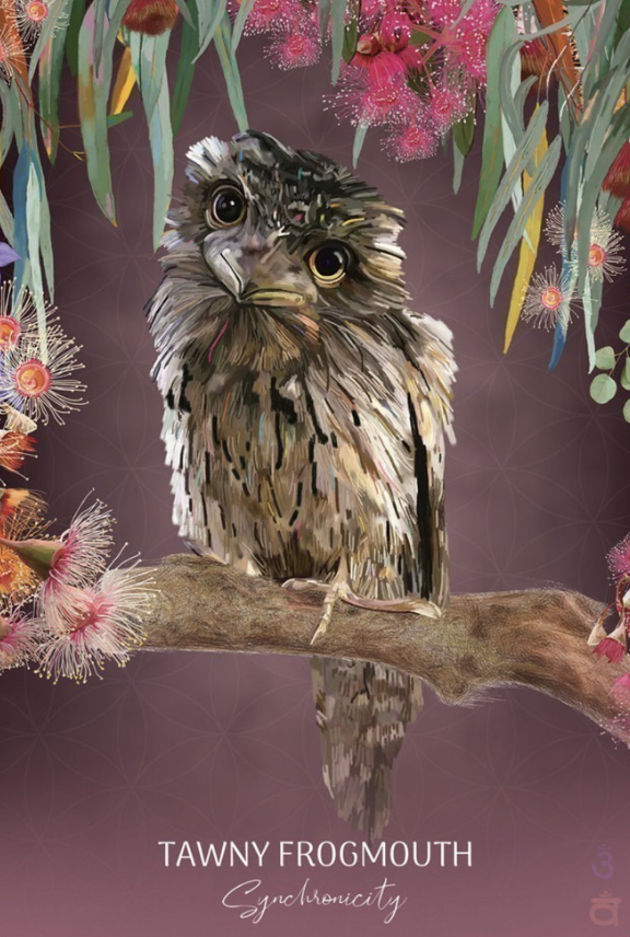 Wild Wisdom Australia Oracle