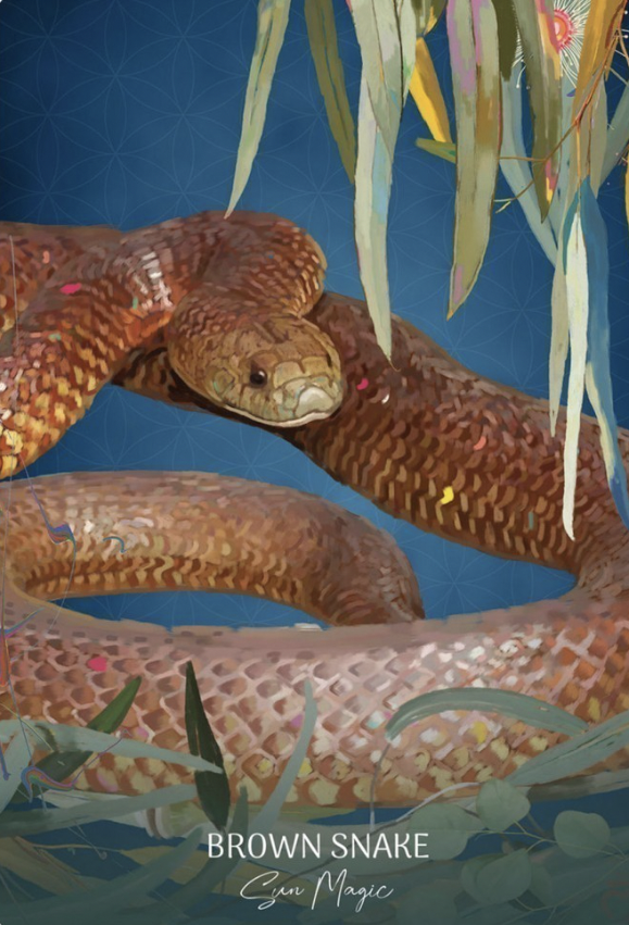 Wild Wisdom Australia Oracle