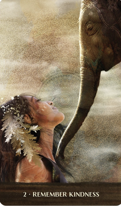 Wild Woman Rising Oracle Cards