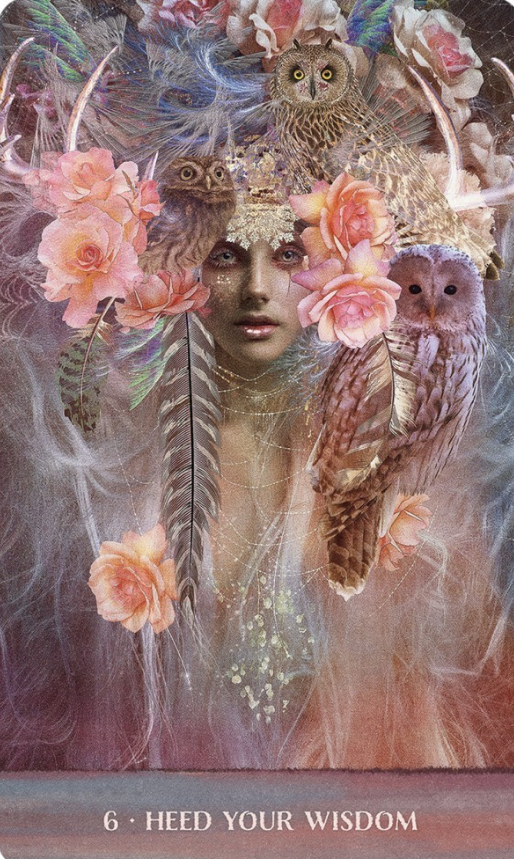 Wild Woman Rising Oracle Cards