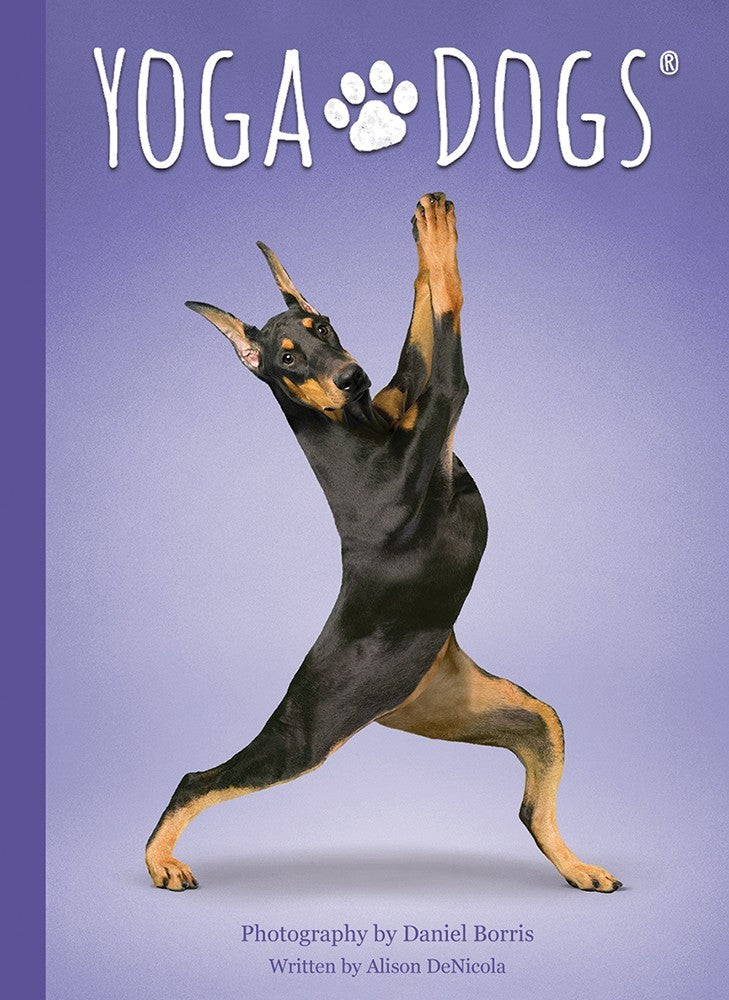 Yoga Dogs Deck & Book Set