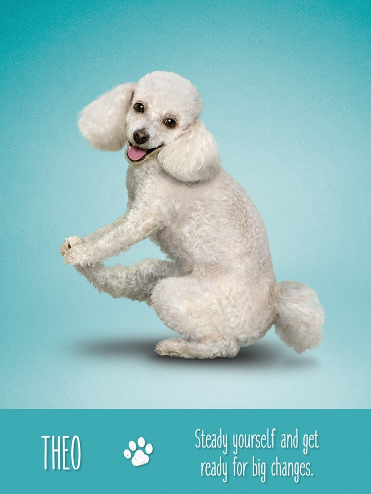Yoga Dogs Deck & Book Set