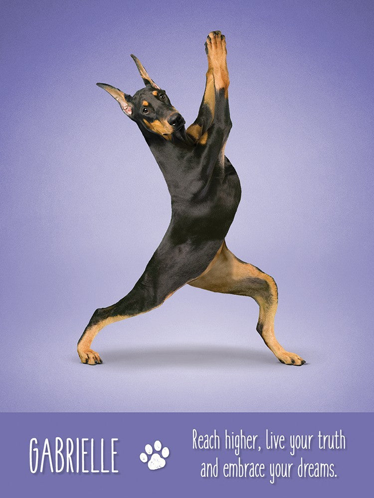 Yoga Dogs Deck & Book Set