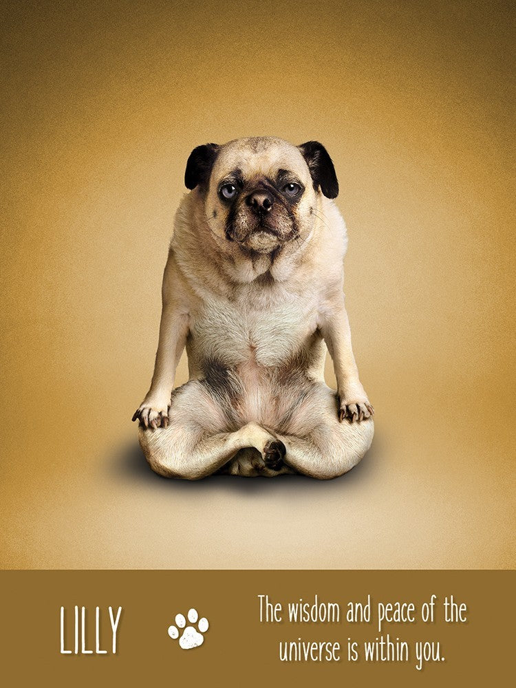 Yoga Dogs Deck & Book Set
