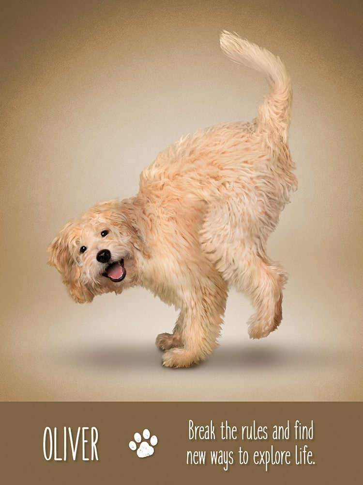 Yoga Dogs Deck & Book Set