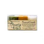 Blessing Kit: Financial Growth