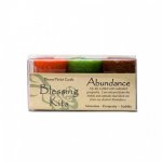 Blessing Kit: Abundance
