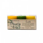 Blessing Kit: Luck