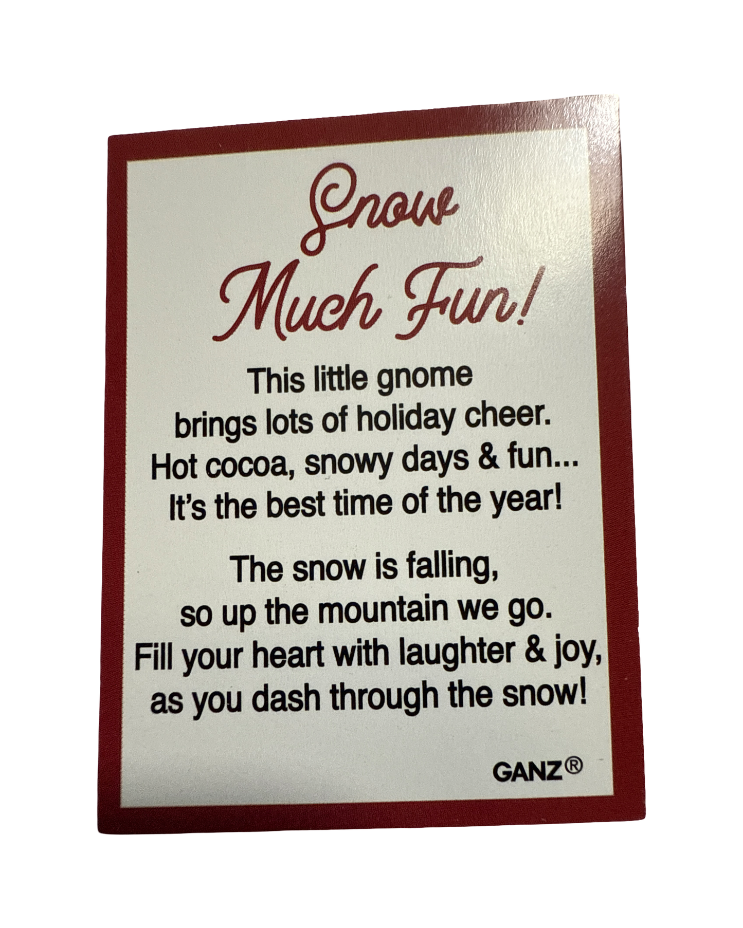 Snow Much Fun ~ Gnomes