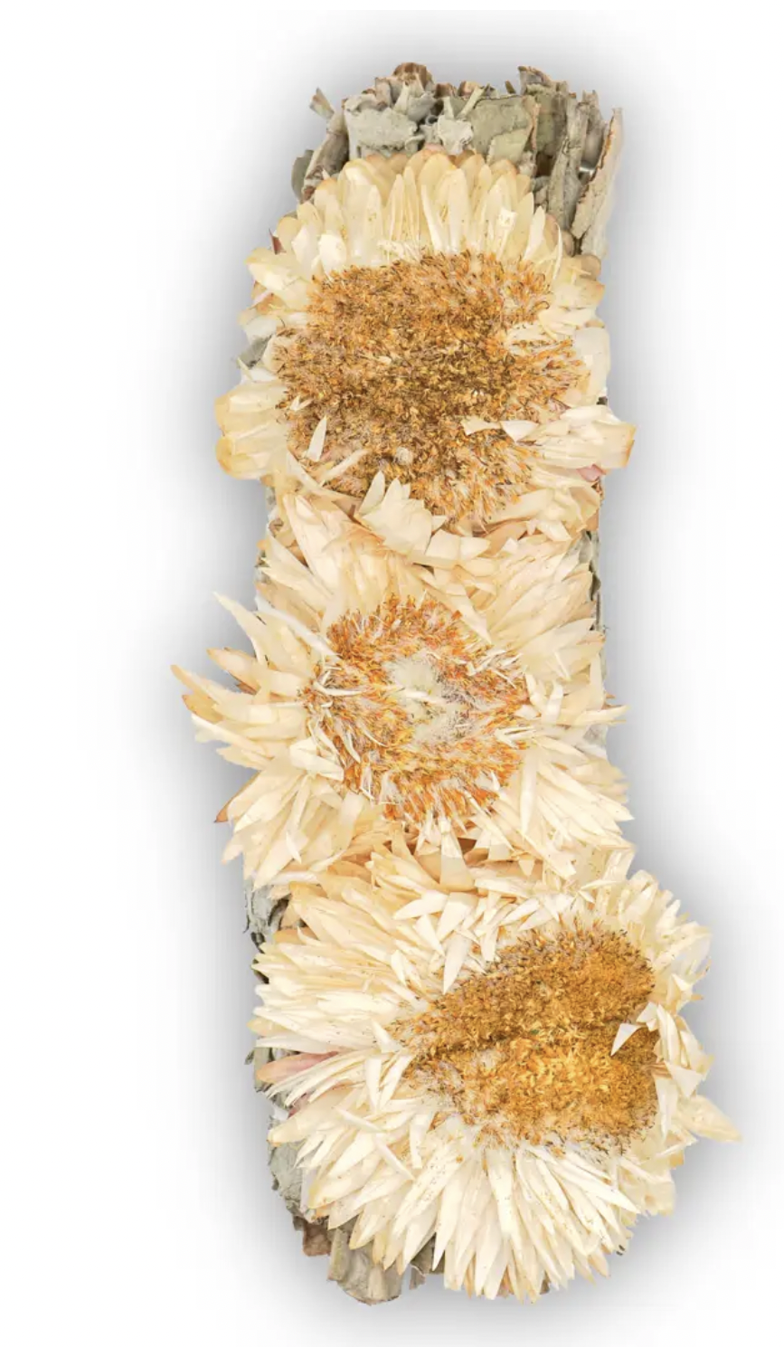 4 " Sage and  Sunflower Wand