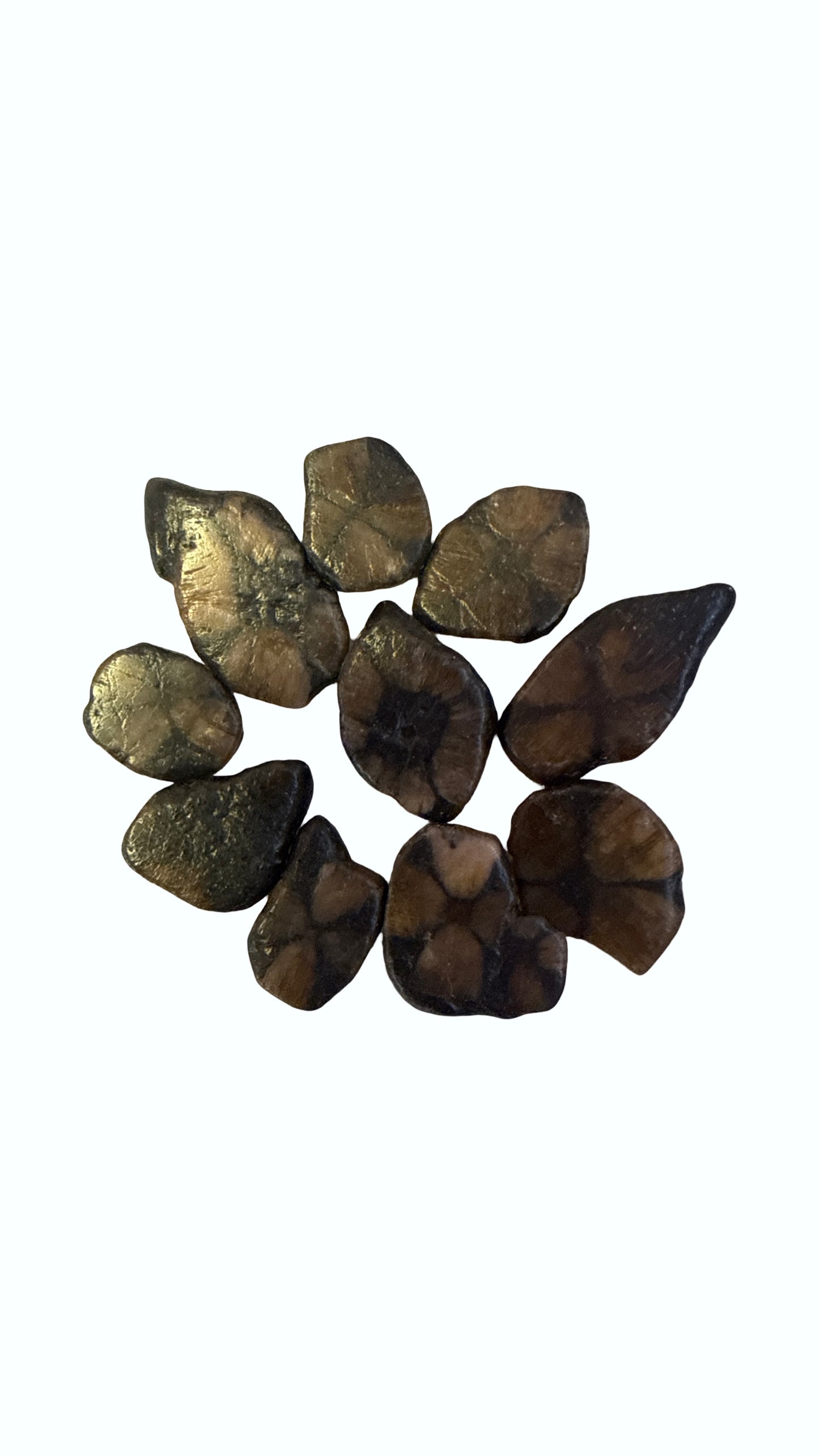 Natural Chiastolite