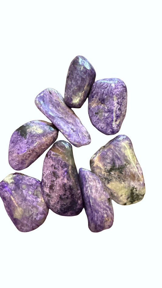 Charoite Palm size Tumbled