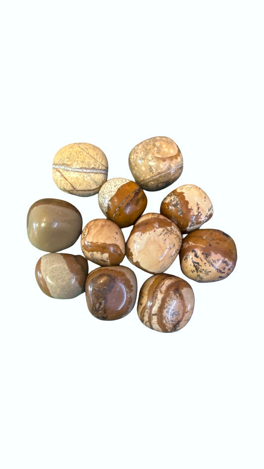 Picture Jasper