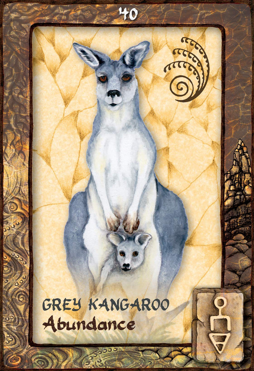 Animal Dreaming Oracle Cards
