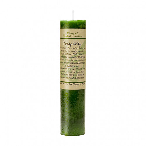 Blessed Herbal Candle: Prosperity