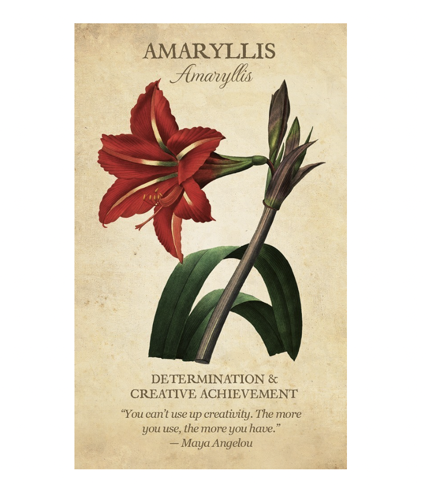 Botanical Inspirations Deck & Book Set