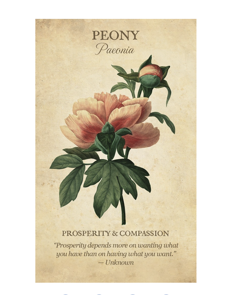Botanical Inspirations Deck & Book Set