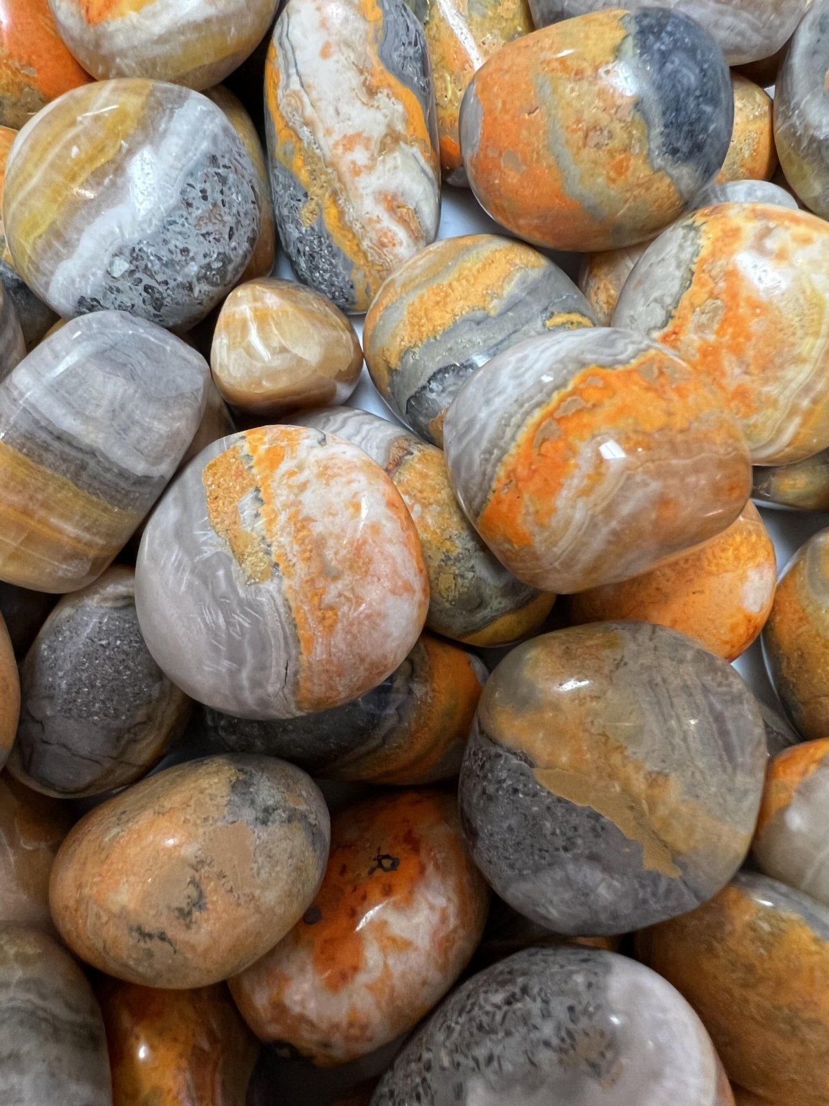 Bumble Bee Jasper (Tumbled)