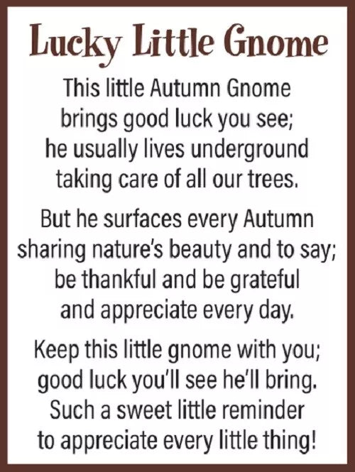 Lucky Little Gnome