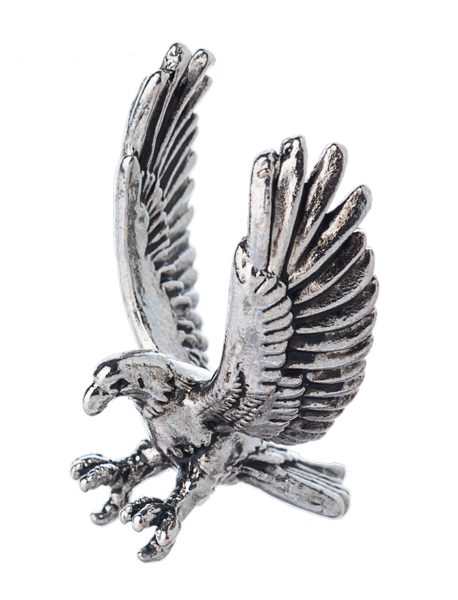 Majestic Bald Eagle Charm (ER75794)
