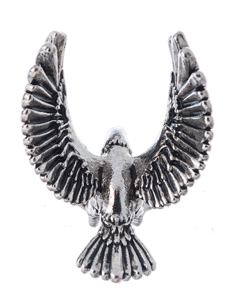 Majestic Bald Eagle Charm (ER75794)