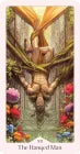 Heavenly Bloom Tarot