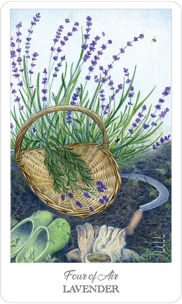 Herbcrafter's Tarot