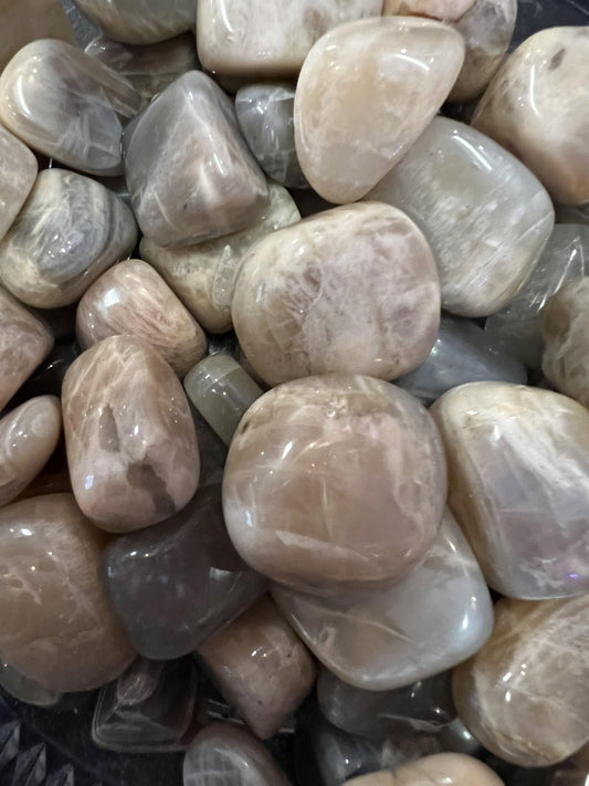Orange-Black Moonstone (Tumbled)