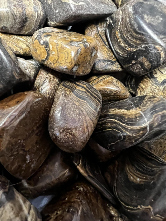 Stromatolite