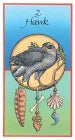 Medicine Cards Set