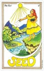 Medicine Woman Tarot Cards