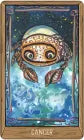 Oracle of Ascenddance