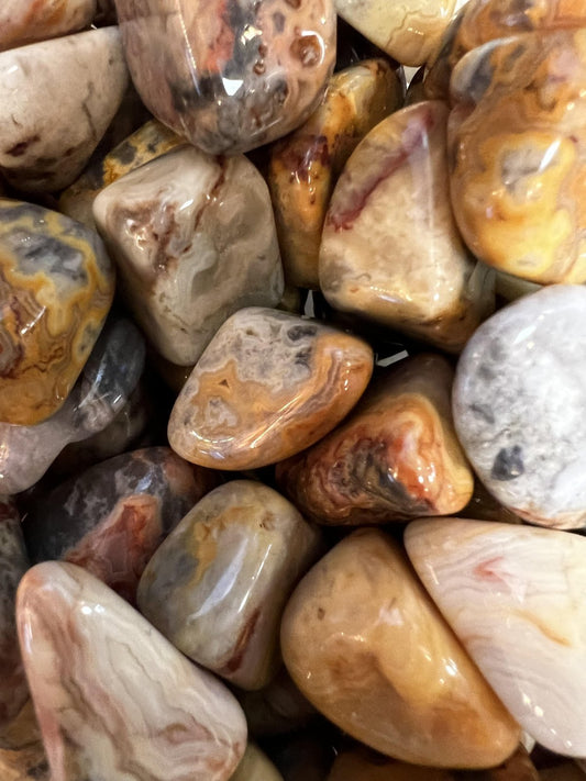 Yellow Crazy Lace Agate