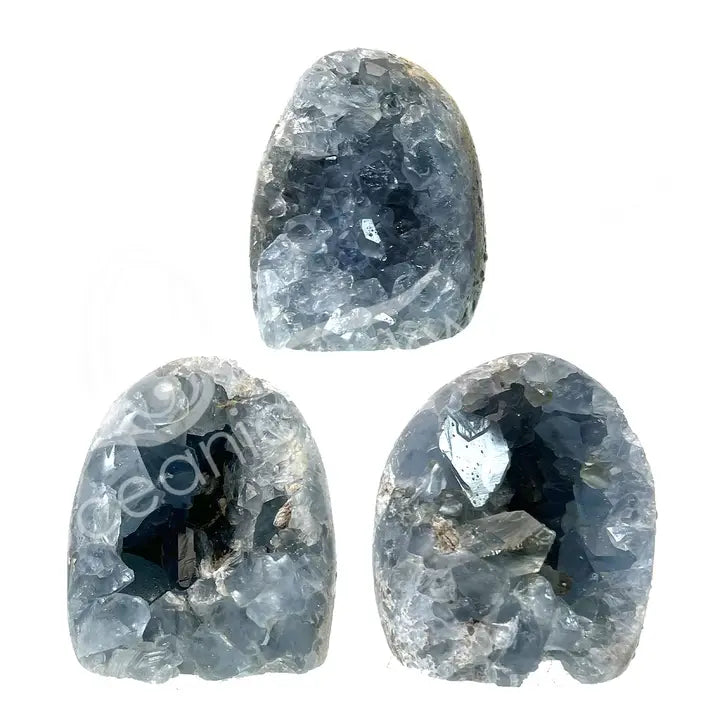 Celestite Cluster with Druse 2-4"