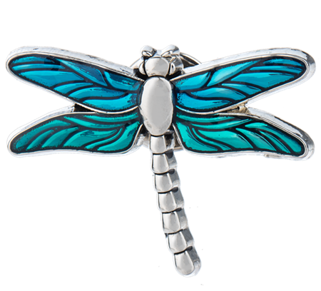 The Dragonfly Charm